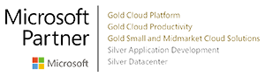 Microsoft Partner Gold and Silver logo